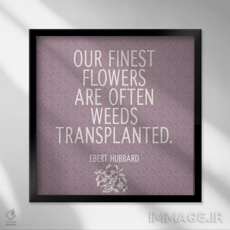 تابلو بهترین گلهای ما اثر فایو بای فایو کالکتیو - نمای قابدار مشکی