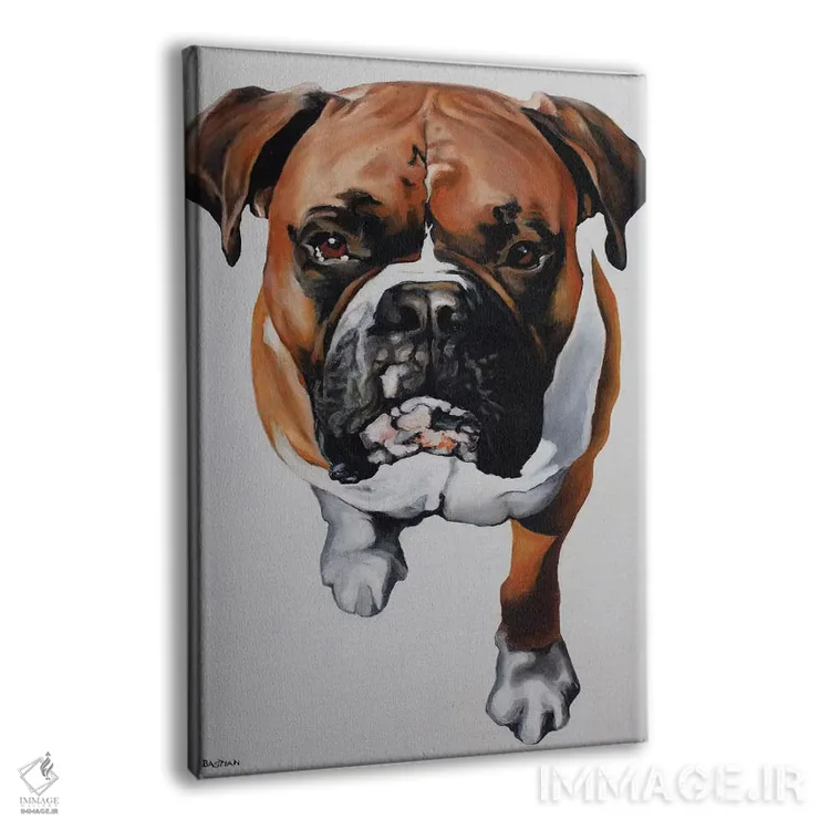تابلو بوکسر (سگ یا ورزشکار مشتزن) اثر کلارا باستین - نمای پرسپکتیو محصول