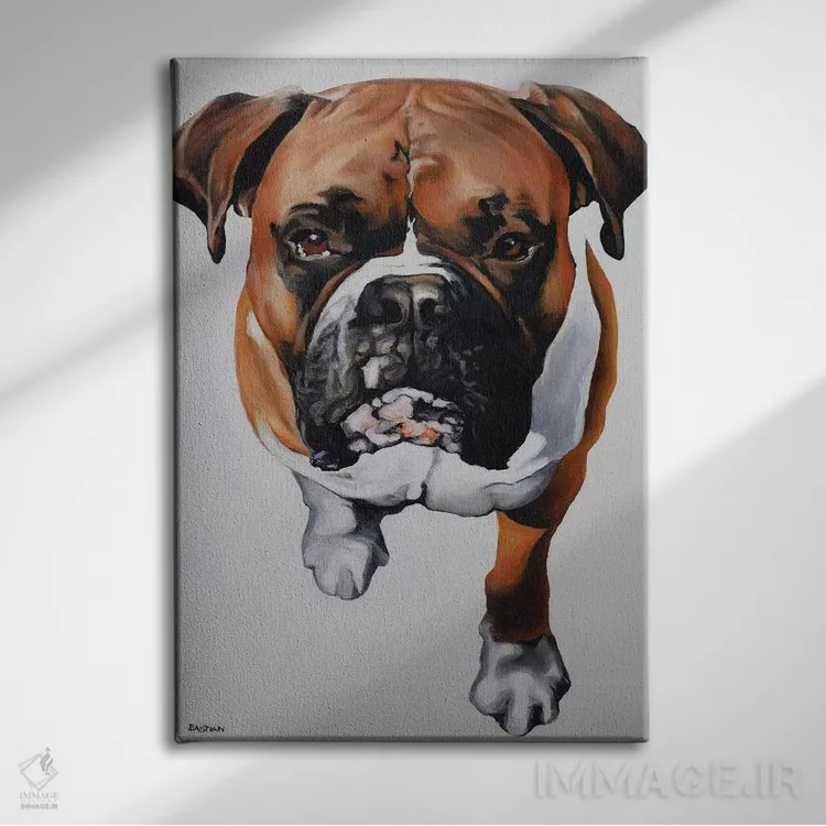 تابلو بوکسر (سگ یا ورزشکار مشتزن) اثر کلارا باستین - نمای روبهرو روی دیوار