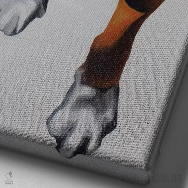 تابلو بوکسر (سگ یا ورزشکار مشتزن) اثر کلارا باستین - نمای نزدیک بافت بوم