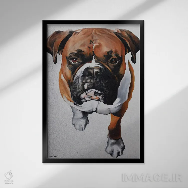تابلو بوکسر (سگ یا ورزشکار مشتزن) اثر کلارا باستین - نمای قابدار مشکی