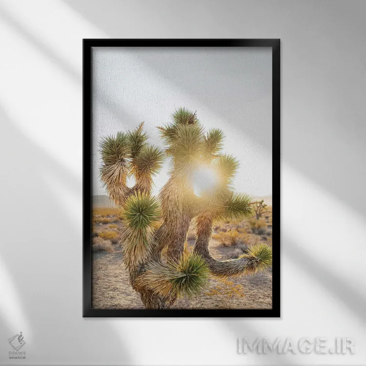 تابلو طلوع خورشید در جاشوا تری اثر بثانی یانگ - نمای قابدار مشکی