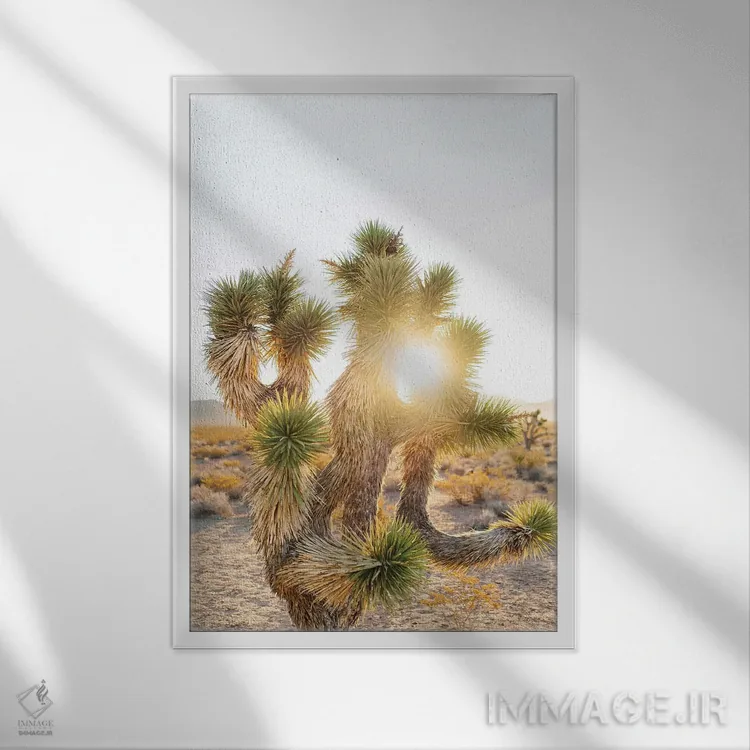 تابلو طلوع خورشید در جاشوا تری اثر بثانی یانگ - نمای قابدار سفید