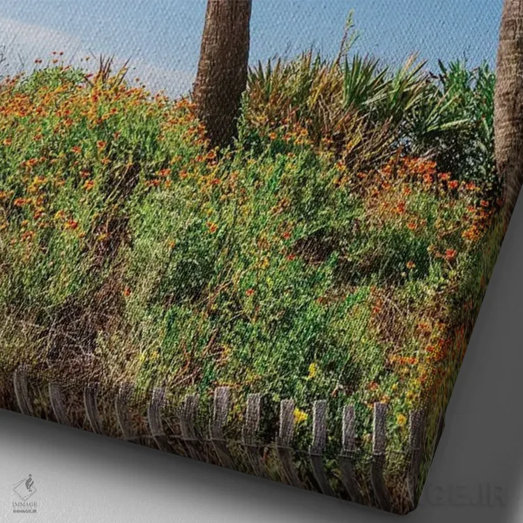 تابلو ساحل فالی اثر بثانی یانگ - نمای نزدیک بافت بوم