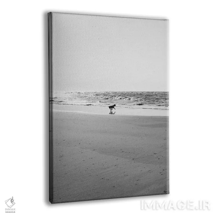 تابلو جزیره سالیوان IX اثر بثانی یانگ - نمای پرسپکتیو محصول