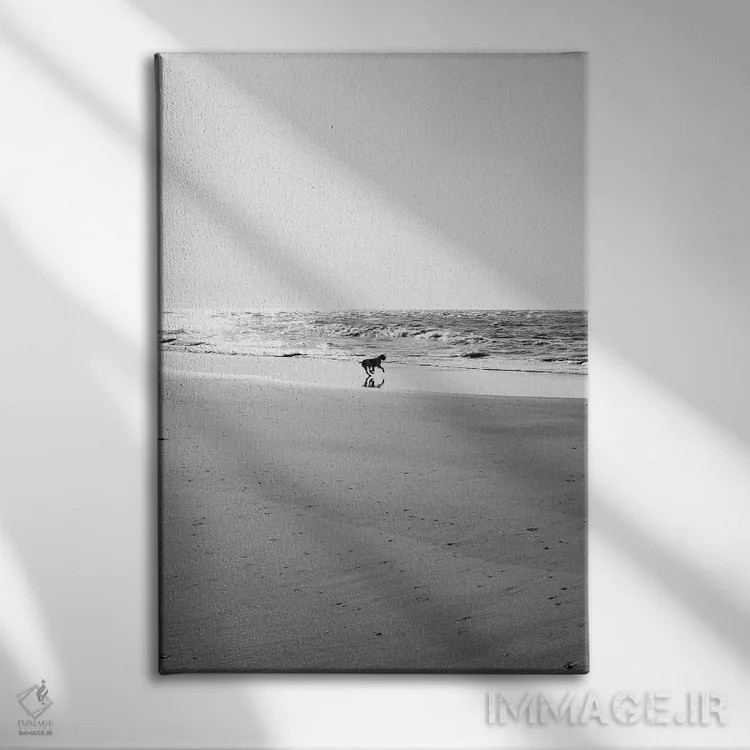 تابلو جزیره سالیوان IX اثر بثانی یانگ - نمای روبهرو روی دیوار