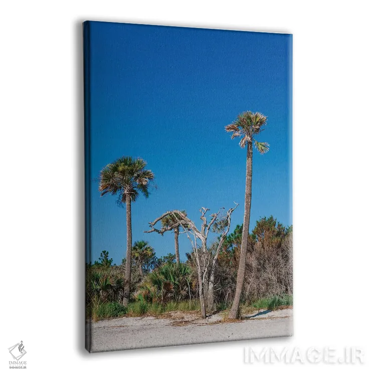 تابلو جزیره سالیوان XII اثر بثانی یانگ - نمای پرسپکتیو محصول