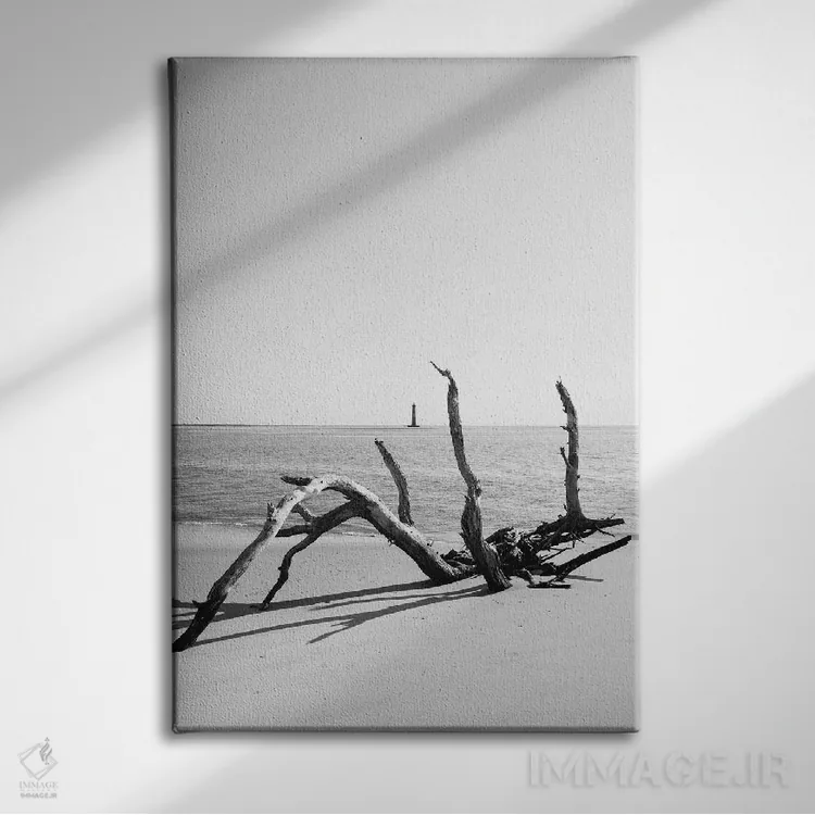 تابلو جزیره سالیوان XIV اثر بثانی یانگ - نمای روبهرو روی دیوار