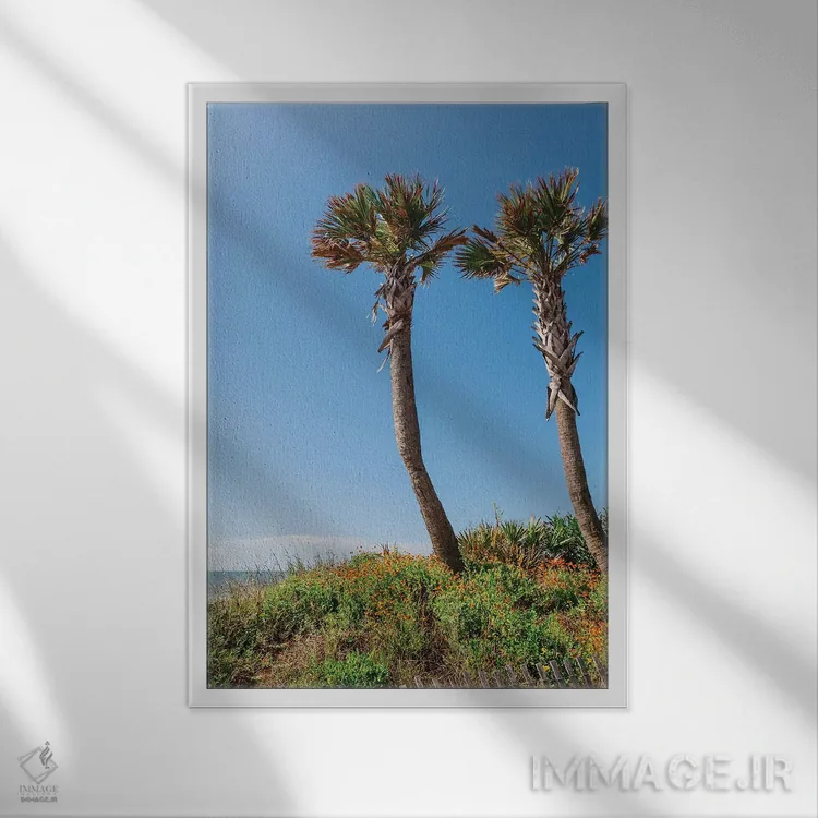 تابلو ساحل فالی اثر بثانی یانگ - نمای قابدار سفید