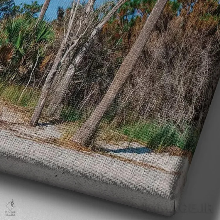 تابلو جزیره سالیوان XII اثر بثانی یانگ - نمای نزدیک بافت بوم