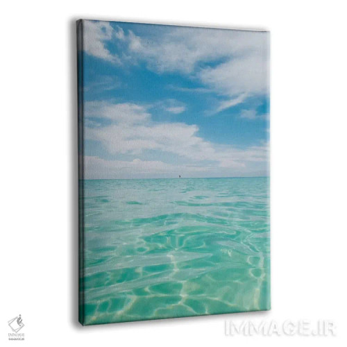 تابلو آب فلوریدا V اثر بثانی یانگ - نمای پرسپکتیو محصول