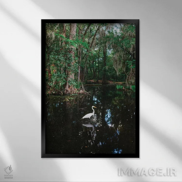 تابلو باغ مگنولیا چارلستون VI اثر بثانی یانگ - نمای قابدار مشکی