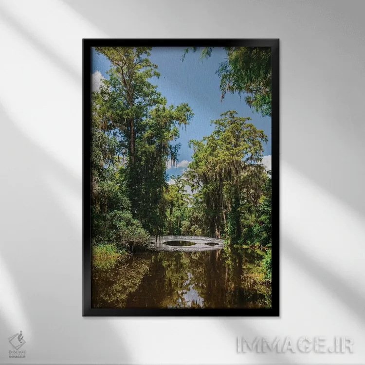 تابلو باغ مگنولیا چارلستون V اثر بثانی یانگ - نمای قابدار مشکی