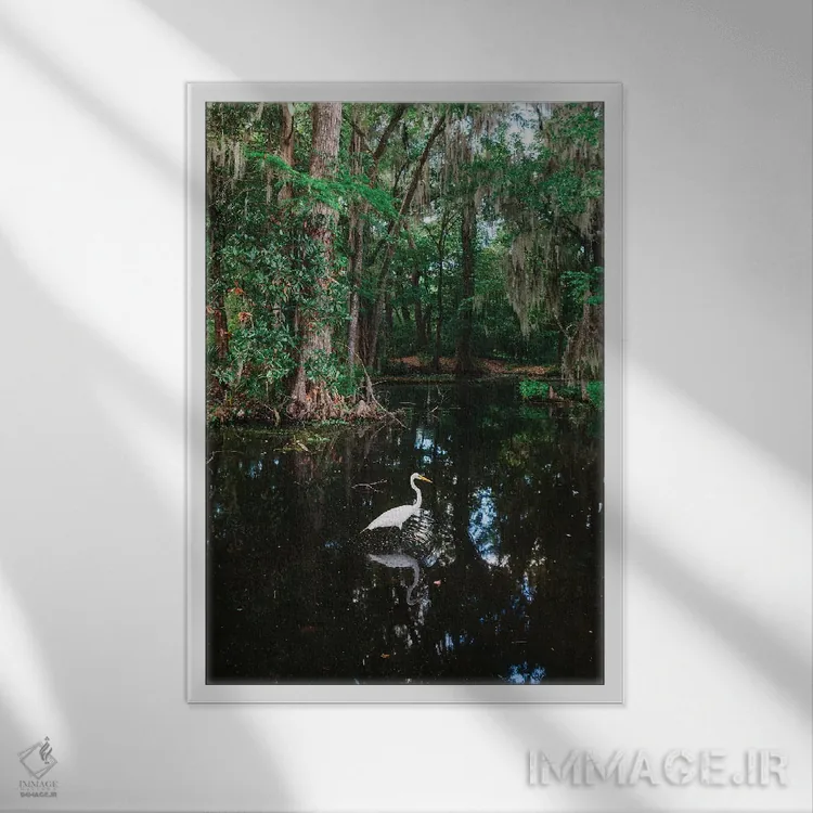 تابلو باغ مگنولیا چارلستون VI اثر بثانی یانگ - نمای قابدار سفید