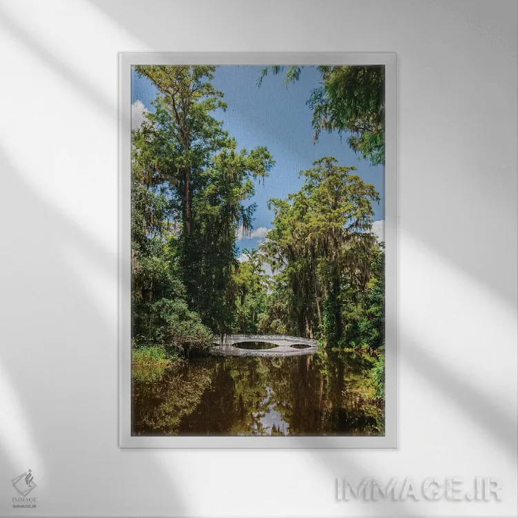 تابلو باغ مگنولیا چارلستون V اثر بثانی یانگ - نمای قابدار سفید