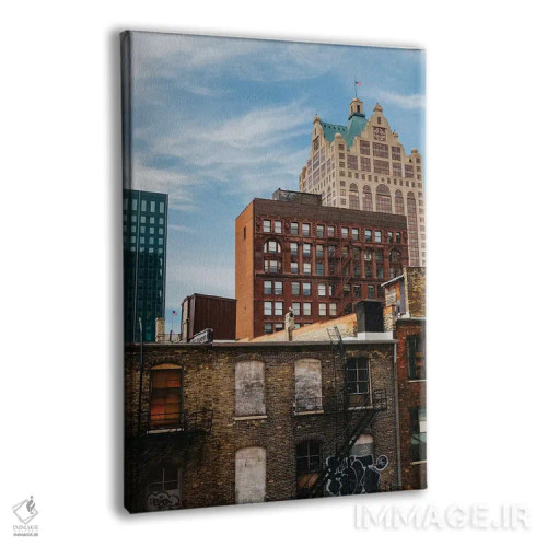 تابلو پرچ میلواکی (نوعی ماهی منطقه) اثر بثانی یانگ - نمای پرسپکتیو محصول