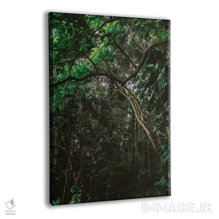 تابلو جنگل هاوایی اثر بثانی یانگ - نمای پرسپکتیو محصول
