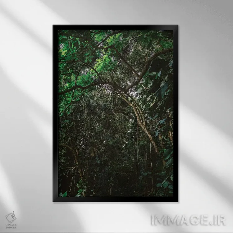 تابلو جنگل هاوایی اثر بثانی یانگ - نمای قابدار مشکی