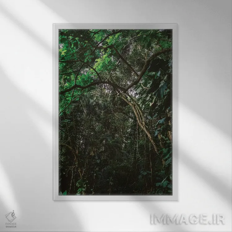 تابلو جنگل هاوایی اثر بثانی یانگ - نمای قابدار سفید