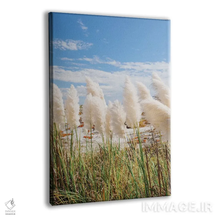 تابلو روز ساحلی کالیفرنیا III اثر بثانی یانگ - نمای پرسپکتیو محصول