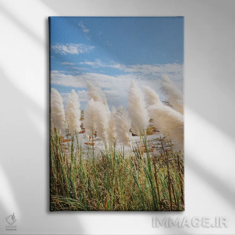 تابلو روز ساحلی کالیفرنیا III اثر بثانی یانگ - نمای روبهرو روی دیوار