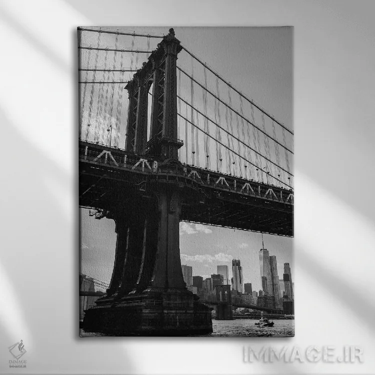 تابلو دامبو بروکلین هفت اثر بثانی یانگ - نمای روبهرو روی دیوار