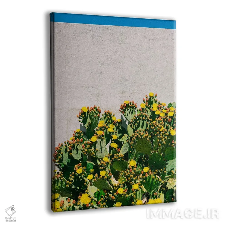 تابلو شکوفه‌های کاکتوس دو اثر بثانی یانگ - نمای پرسپکتیو محصول