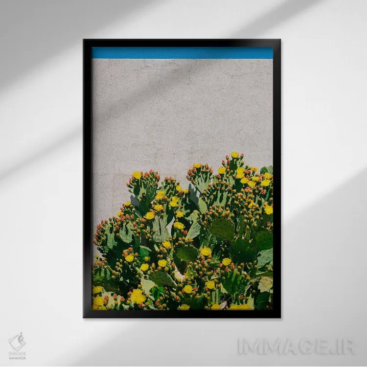 تابلو شکوفههای کاکتوس دو اثر بثانی یانگ - نمای قابدار مشکی