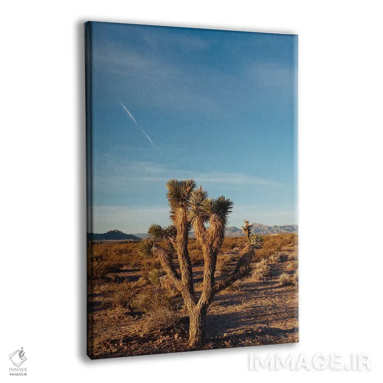 تابلو طلوع بیابان نوادا سه اثر بثانی یانگ - نمای پرسپکتیو محصول