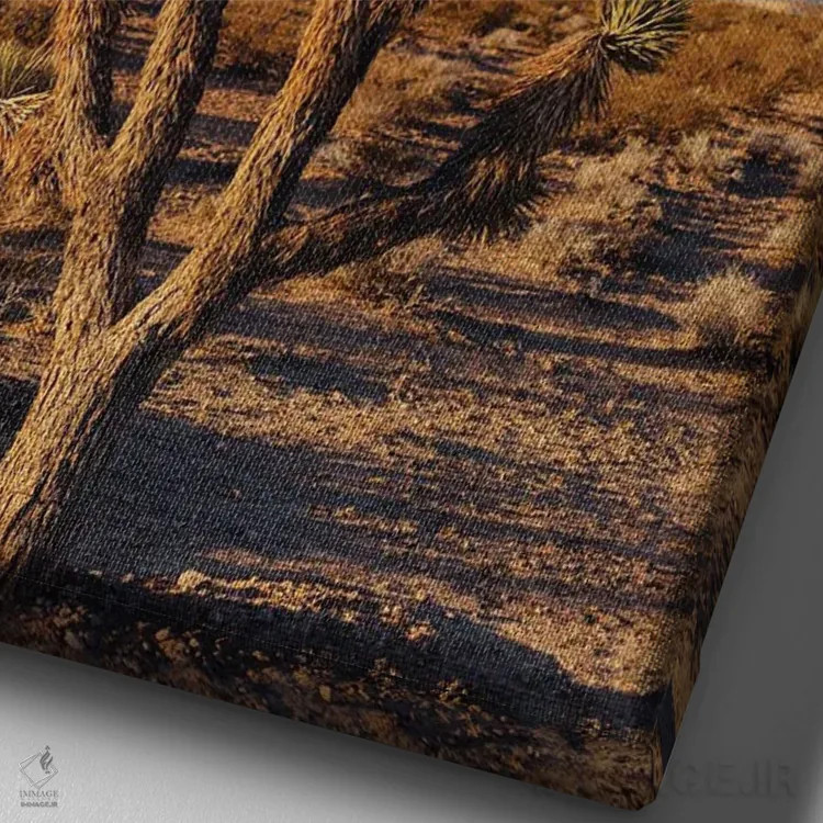 تابلو طلوع بیابان نوادا سه اثر بثانی یانگ - نمای نزدیک بافت بوم