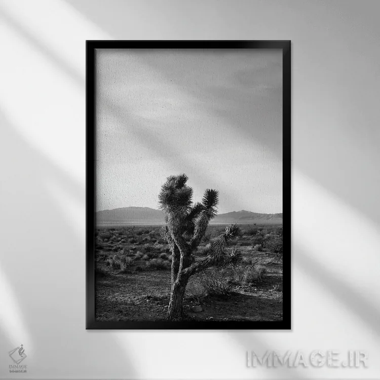 تابلو طلوع درخت جاشوا سه اثر بثانی یانگ - نمای قابدار مشکی