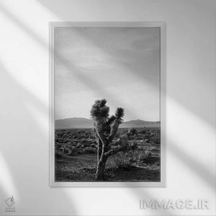 تابلو طلوع درخت جاشوا سه اثر بثانی یانگ - نمای قابدار سفید