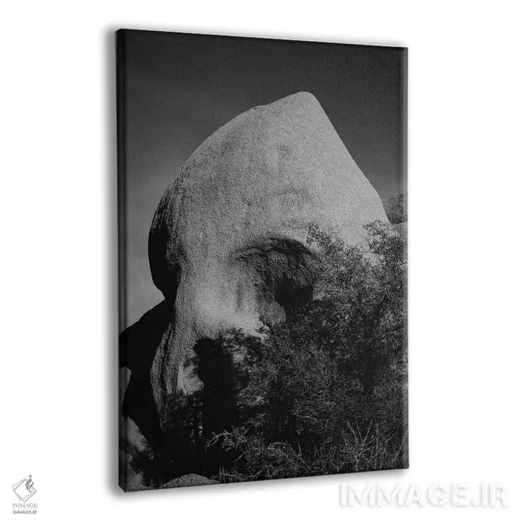 تابلو صخرهٔ جمجمه سه اثر بثانی یانگ - نمای پرسپکتیو محصول