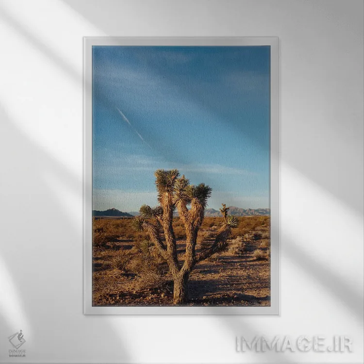 تابلو طلوع بیابان نوادا سه اثر بثانی یانگ - نمای قابدار سفید