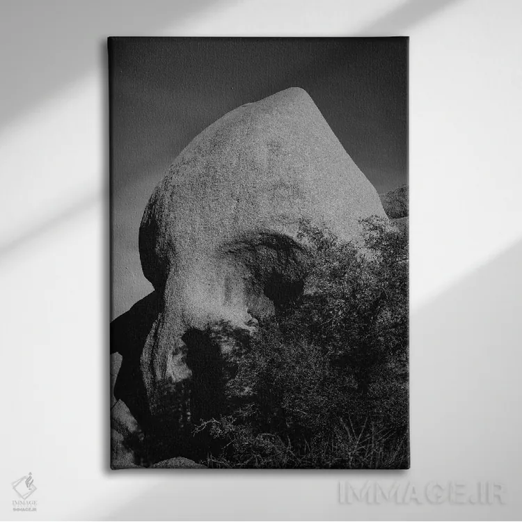 تابلو صخرهٔ جمجمه سه اثر بثانی یانگ - نمای روبهرو روی دیوار