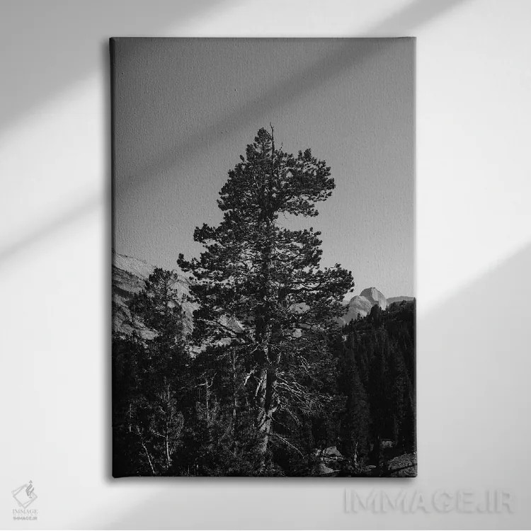 تابلو Yosemite National Park VI,نقطهی اُلمستد، پارک ملی یوسیمیتی شش اثر بثانی یانگ - نمای روبهرو روی دیوار