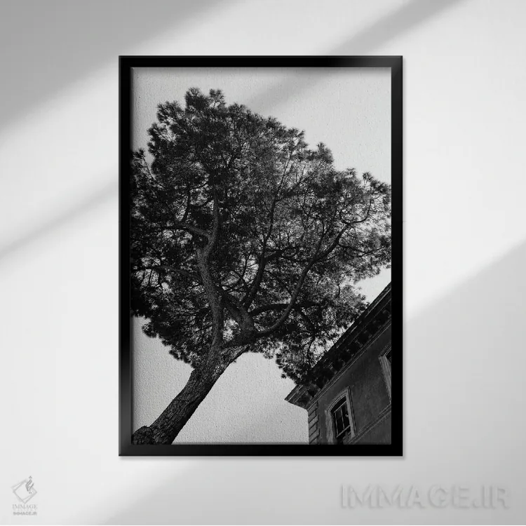 تابلو درخت کاج سنگی ایتالیایی سه اثر بثانی یانگ - نمای قابدار مشکی