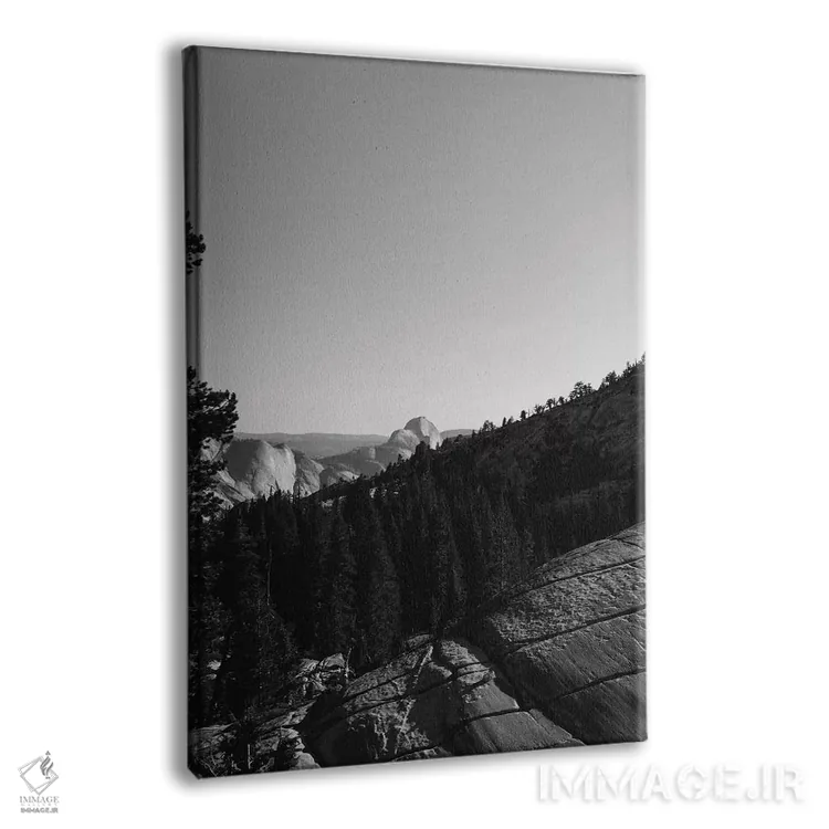 تابلو Yosemite National Park VII,نقطهی اُلمستد، پارک ملی یوسیمیتی هفت اثر بثانی یانگ - نمای پرسپکتیو محصول