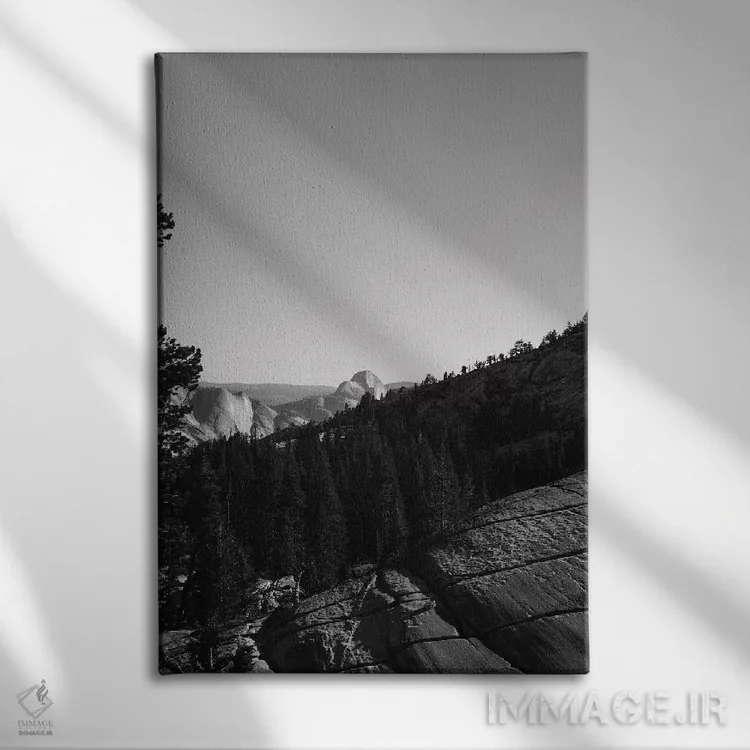 تابلو Yosemite National Park VII,نقطهی اُلمستد، پارک ملی یوسیمیتی هفت اثر بثانی یانگ - نمای روبهرو روی دیوار