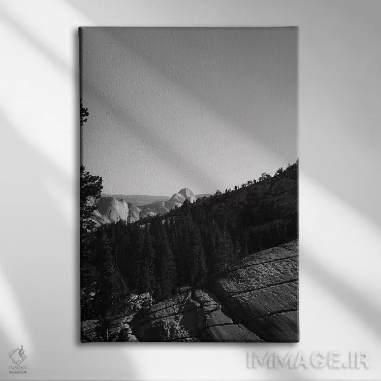 تابلو Yosemite National Park VII,نقطهی اُلمستد، پارک ملی یوسیمیتی هفت اثر بثانی یانگ - نمای روبهرو روی دیوار
