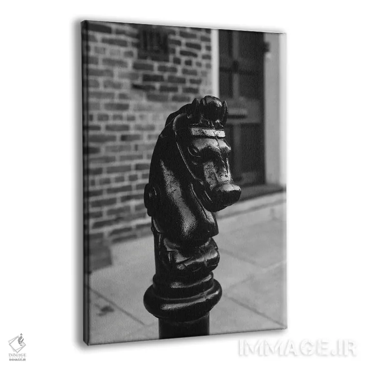 تابلو اسب نیواورلئان اثر بثانی یانگ - نمای پرسپکتیو محصول