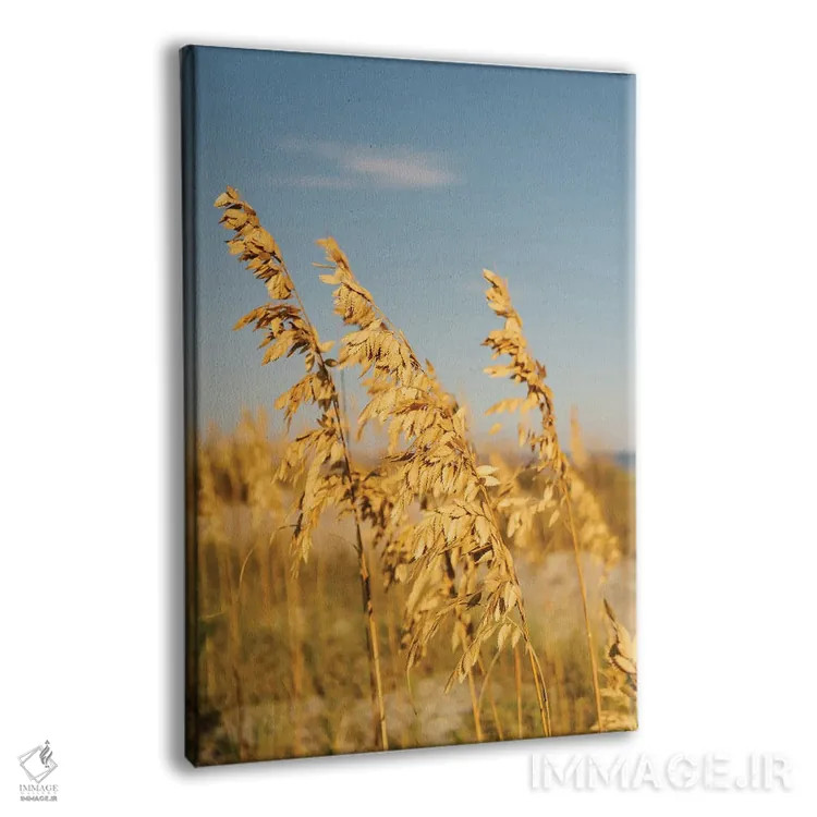 تابلو جزیره هیلتون هد ۳ اثر بثانی یانگ - نمای پرسپکتیو محصول