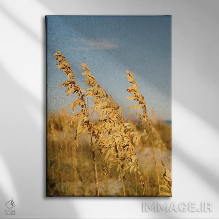 تابلو جزیره هیلتون هد ۳ اثر بثانی یانگ - نمای روبهرو روی دیوار