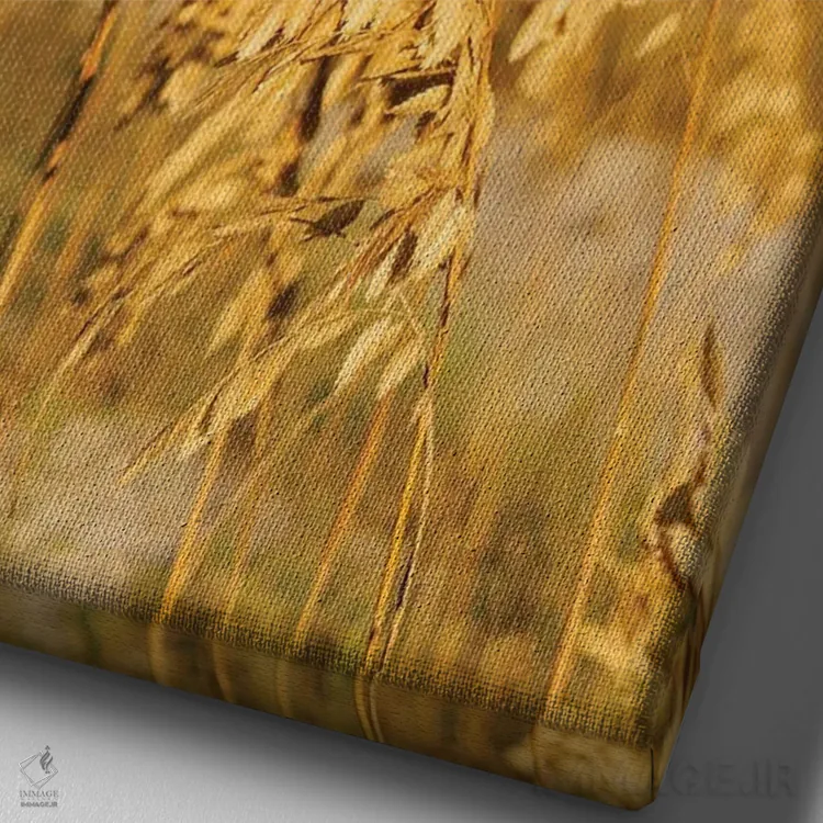 تابلو جزیره هیلتون هد ۳ اثر بثانی یانگ - نمای نزدیک بافت بوم