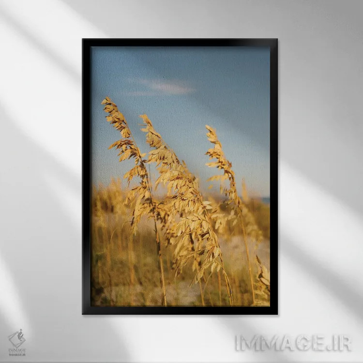 تابلو جزیره هیلتون هد ۳ اثر بثانی یانگ - نمای قابدار مشکی