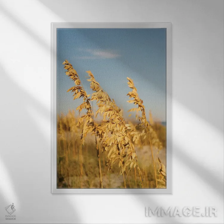 تابلو جزیره هیلتون هد ۳ اثر بثانی یانگ - نمای قابدار سفید