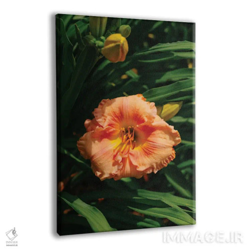 تابلو باغ سوسن روز ۲ اثر بثانی یانگ - نمای پرسپکتیو محصول