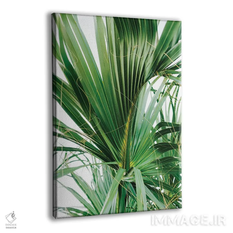 تابلو جزیره هیلتون هد ۵ اثر بثانی یانگ - نمای پرسپکتیو محصول