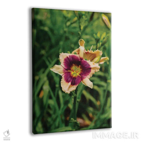 تابلو باغ سوسن روز ۵ اثر بثانی یانگ - نمای پرسپکتیو محصول