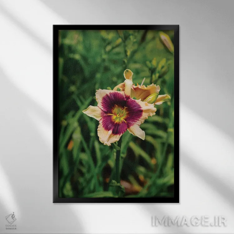 تابلو باغ سوسن روز ۵ اثر بثانی یانگ - نمای قابدار مشکی